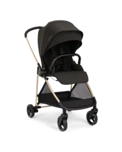 Duo Passeggino Ixxa + Navicella Lytl - Riveted Rose - Comfort e Praticità
