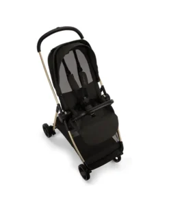 Duo Passeggino Ixxa + Navicella Lytl - Riveted Rose - Comfort e Praticità