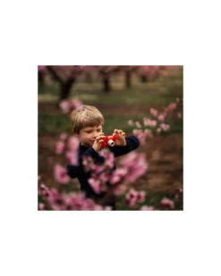 Fotocamera Digitale Kiimento - Akito la Volpe - Foto e Video - Dai 4 Anni