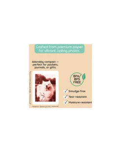 Kiimento Carta Fotografica Ink-Free per Fotocamera Model P2 - 120 Fogli - Value Pack