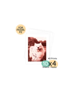 Kiimento Carta Fotografica Ink-Free per Fotocamera Model P2 - 40 Fogli
