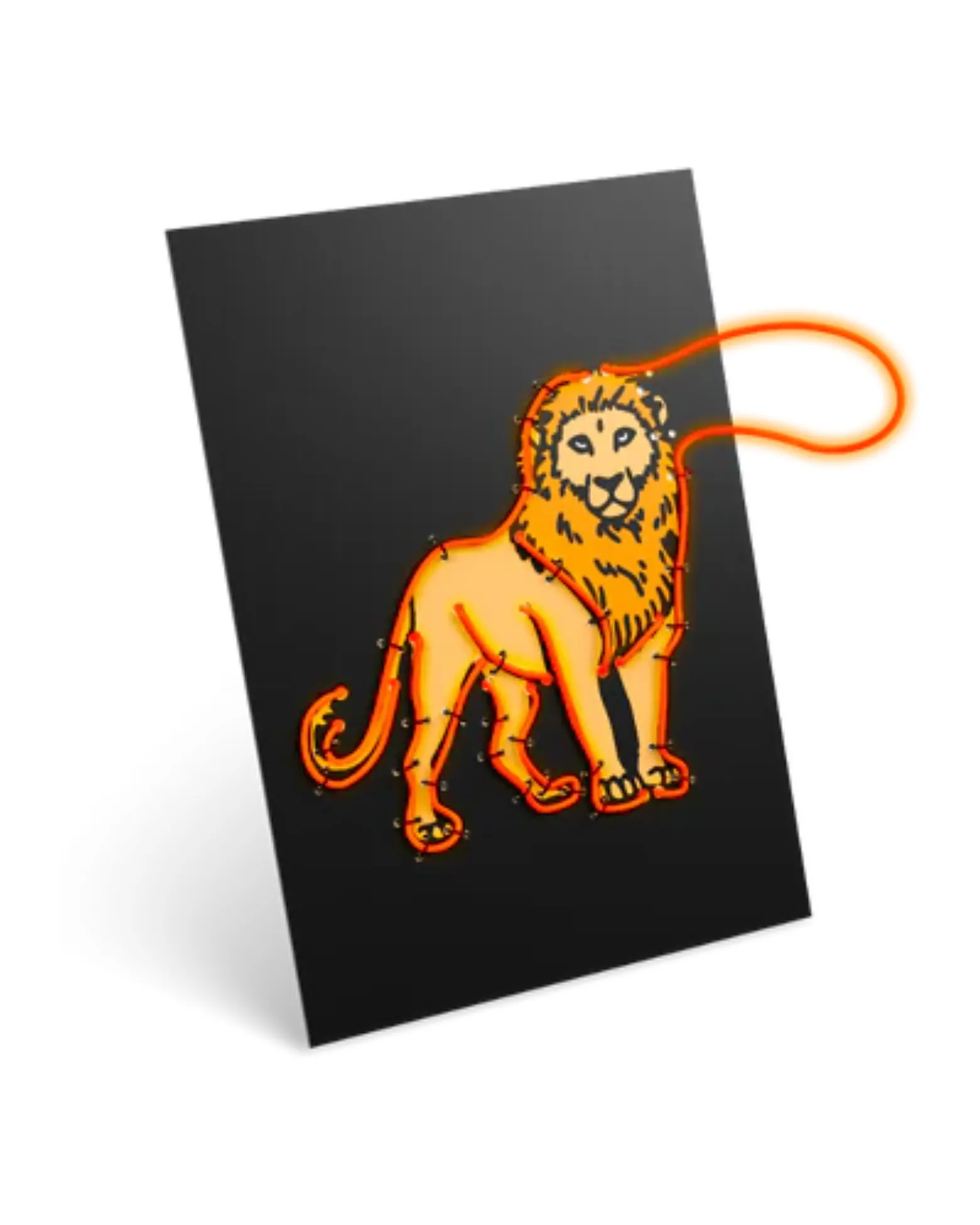 Kit Creativo Kidyneon - Arancione - Crea e Illumina le tue Idee
