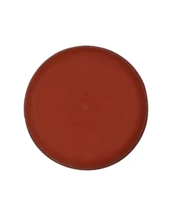 Piatto in Silicone - Ruggine - 100% Sicuro