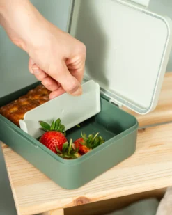 Portapranzo con Divisorio - Tiny Trails - Verde - 17,5 x 13 x 6,5 cm - 100% PP Alimentare