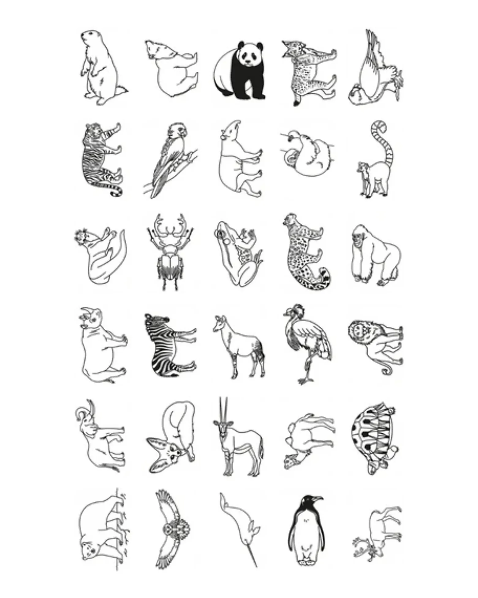 Ricarica per Kidydraw Mini - Animali e Pirati