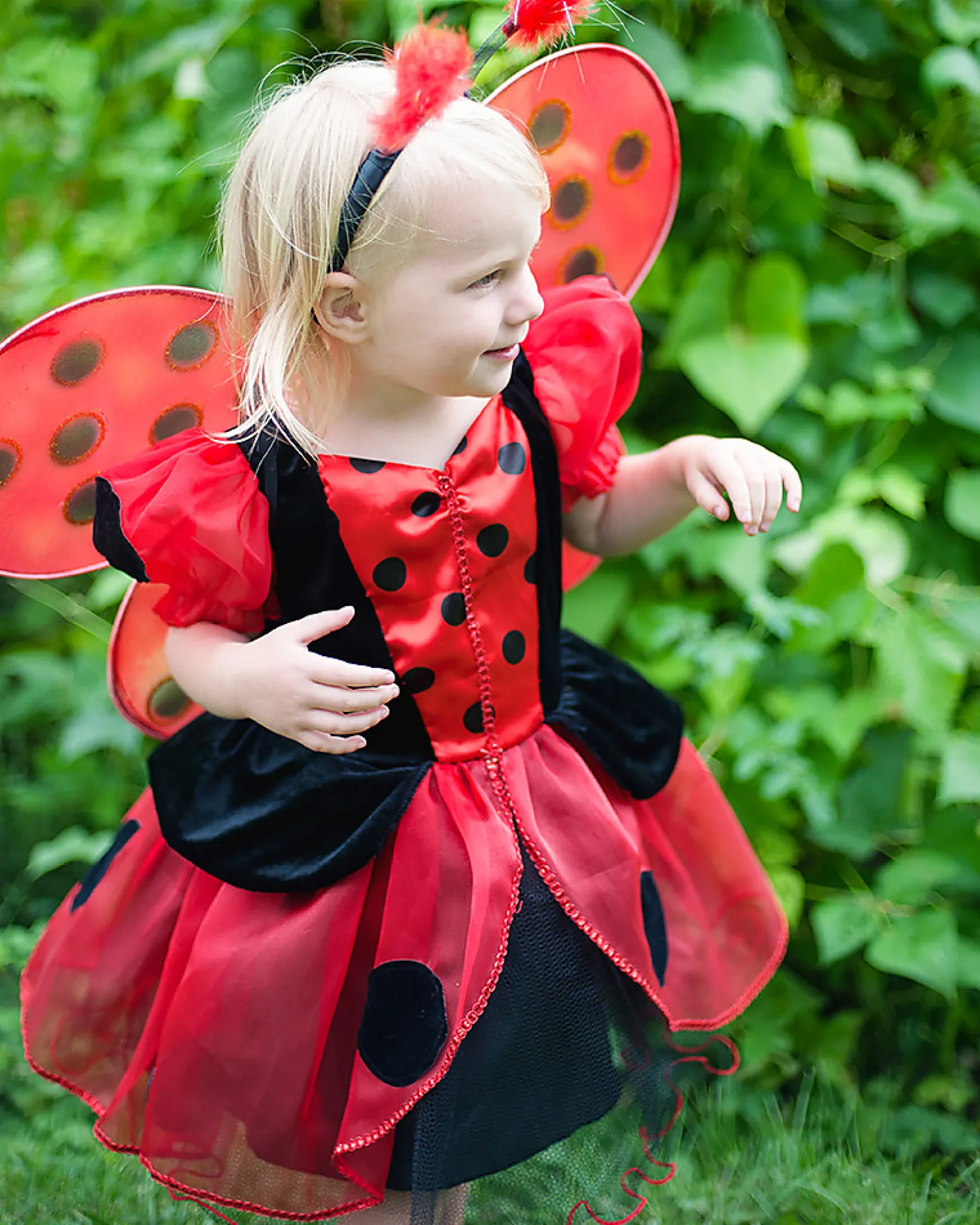 Set per Costume da Coccinella - Comprende ali e cerchietto
