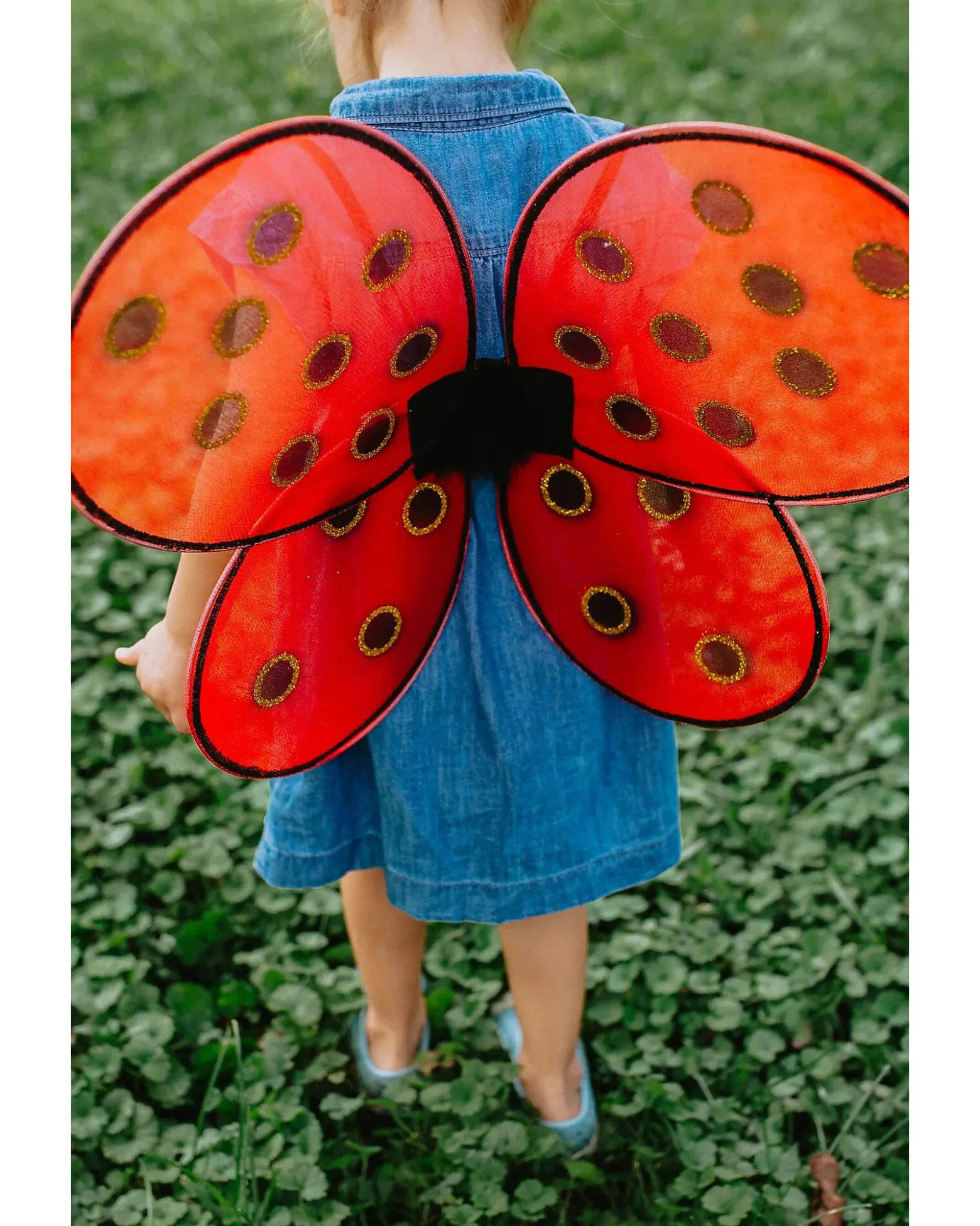 Set per Costume da Coccinella - Comprende ali e cerchietto