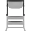Set Torre di Apprendimento per Sedia Evolutiva LEMO - Stunning Black - Include Tappetini Antiscivolo